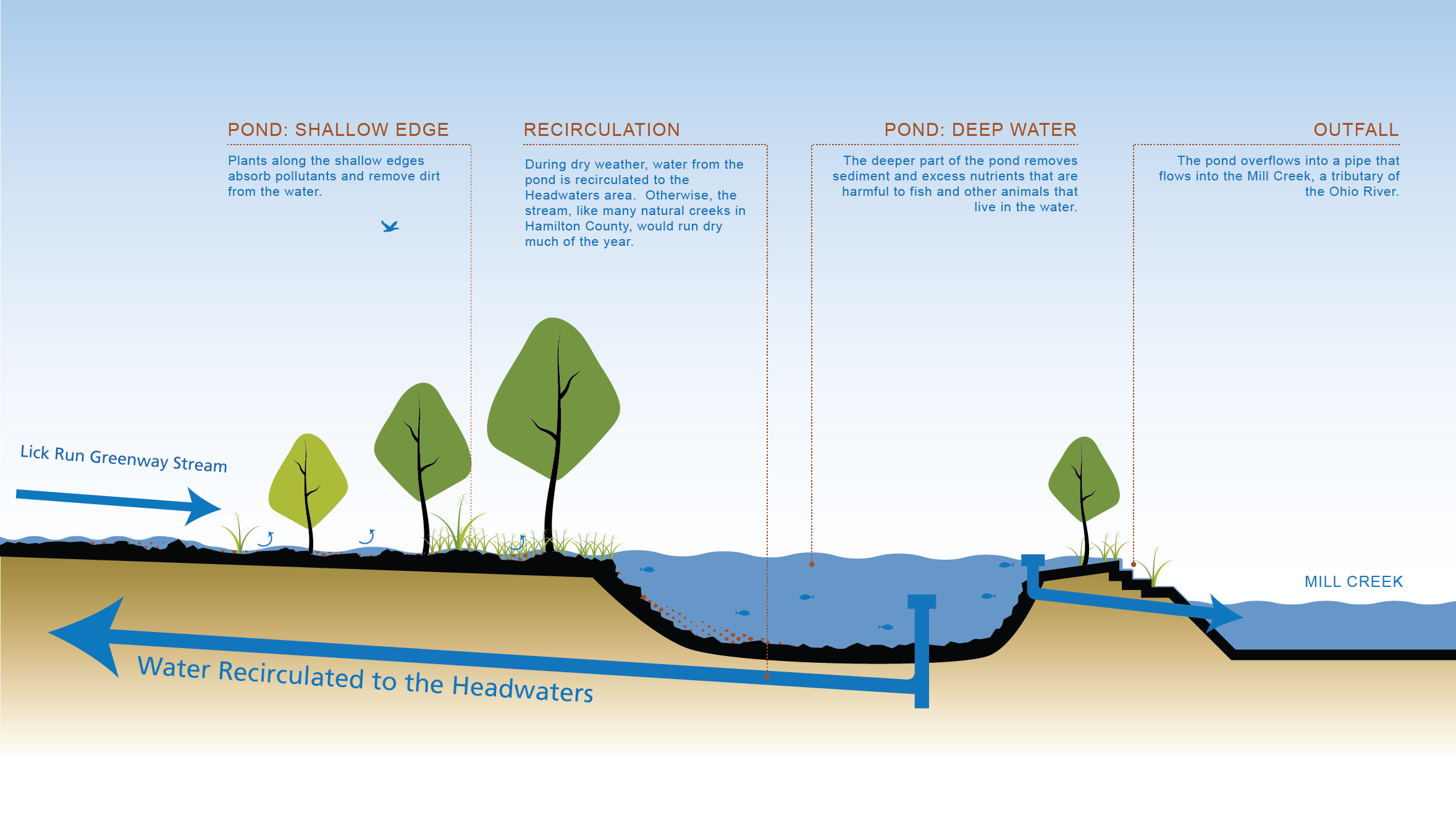 Graphic that says Story of the Moon Tree
