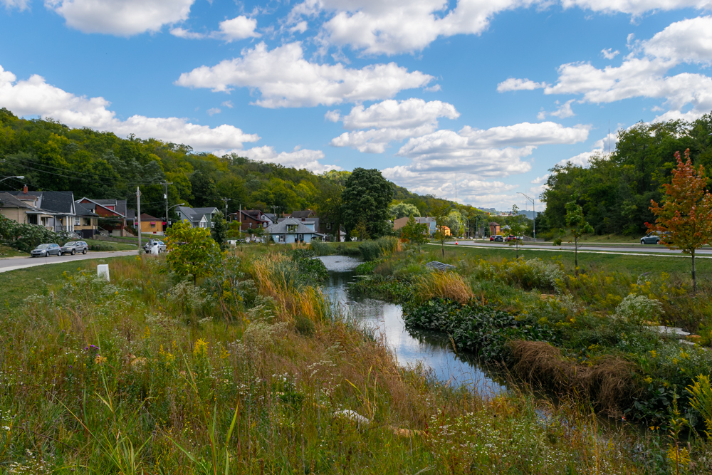 Photo of the forebay pond