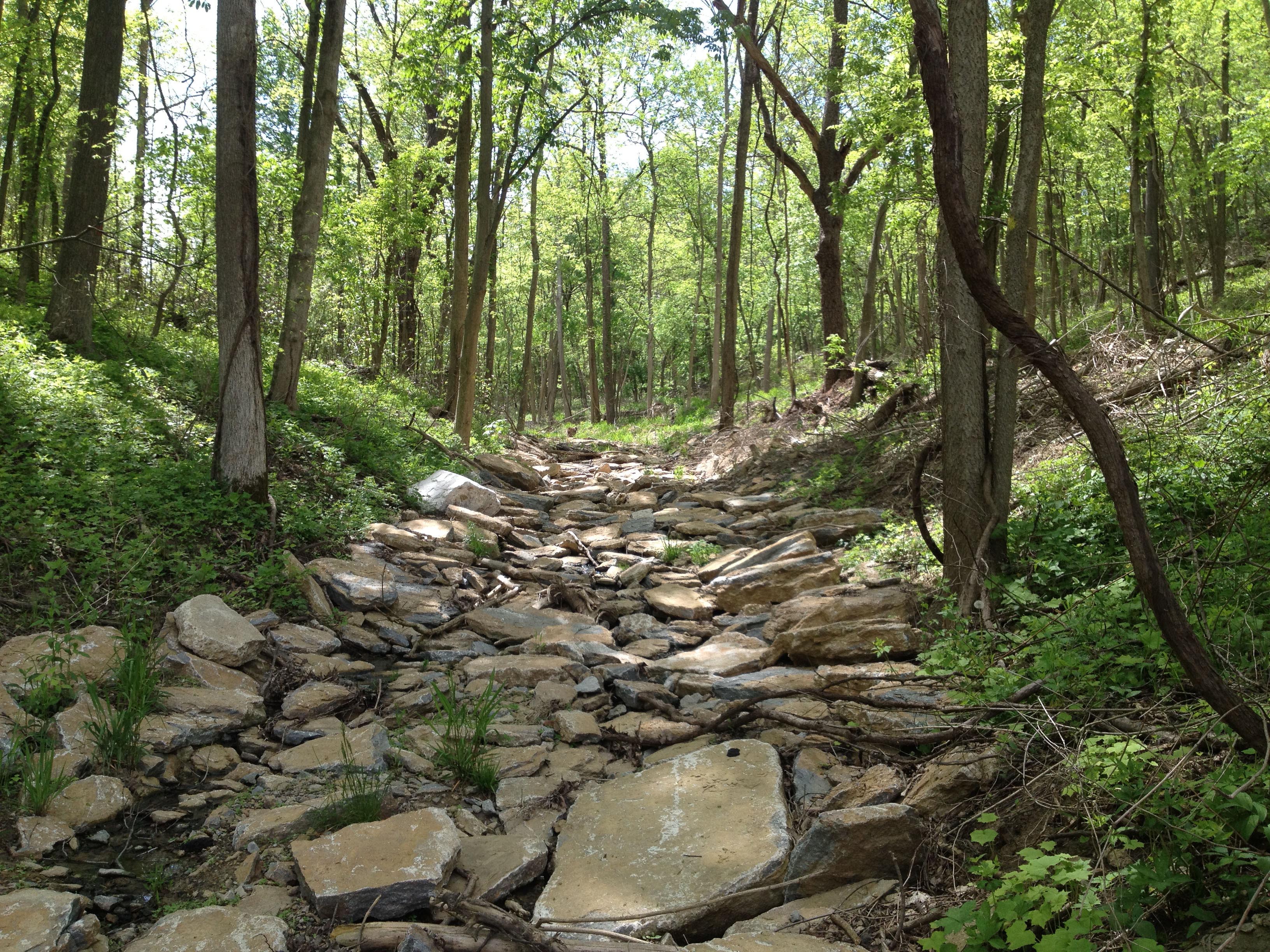 photo of a generic stream through a forested hillside