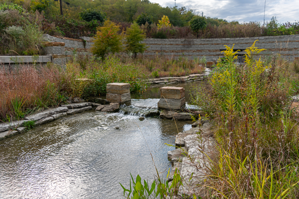 Photo of the start of the stream channel