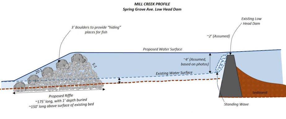 Photo of a low-head dam