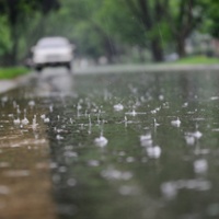 Sewer Backup? 5 Things You Need to Know to Prevent and Report